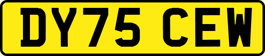 DY75CEW
