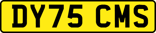 DY75CMS