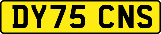 DY75CNS