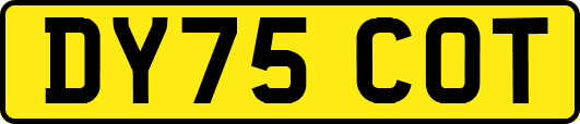 DY75COT