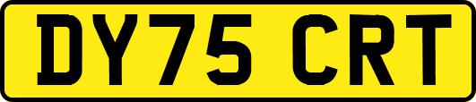 DY75CRT