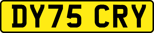 DY75CRY