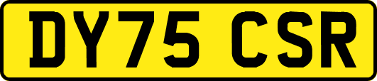 DY75CSR