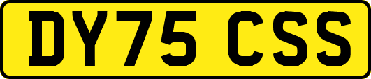 DY75CSS