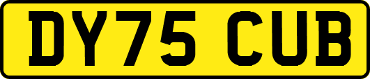 DY75CUB