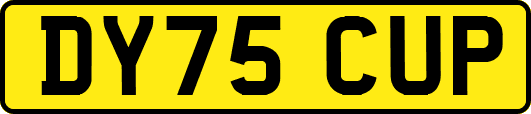 DY75CUP