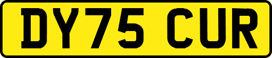 DY75CUR