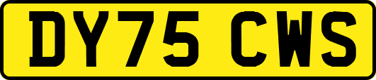 DY75CWS