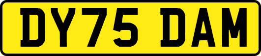 DY75DAM