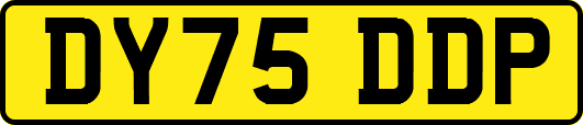 DY75DDP