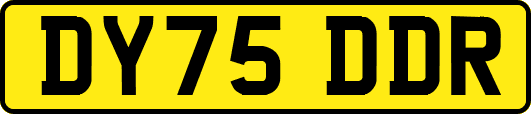 DY75DDR