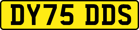 DY75DDS