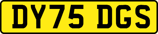 DY75DGS