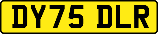 DY75DLR