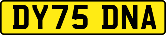 DY75DNA