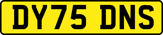DY75DNS