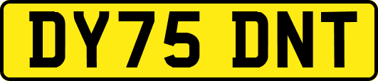 DY75DNT