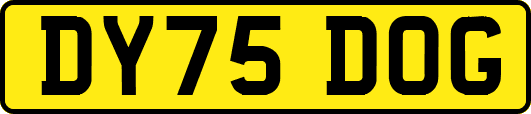 DY75DOG
