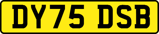 DY75DSB