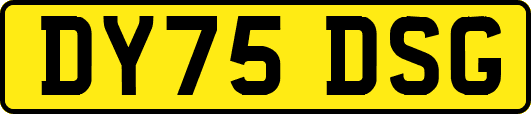DY75DSG