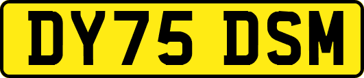 DY75DSM