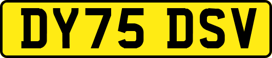 DY75DSV