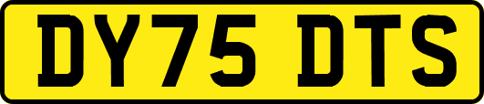 DY75DTS