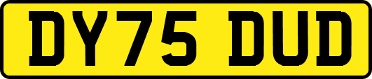 DY75DUD