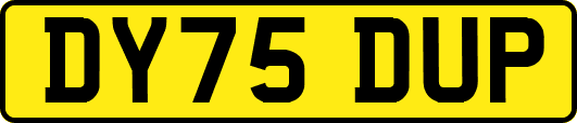 DY75DUP