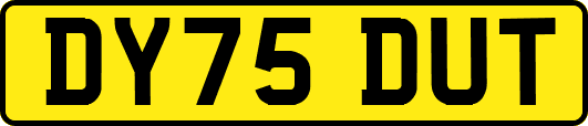 DY75DUT