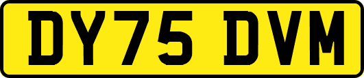 DY75DVM