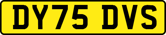 DY75DVS