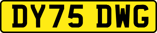 DY75DWG