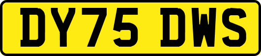 DY75DWS
