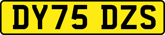 DY75DZS