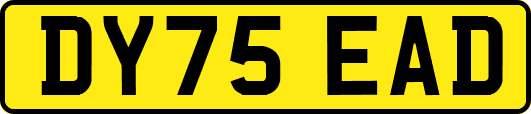DY75EAD