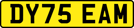 DY75EAM