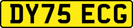 DY75ECG
