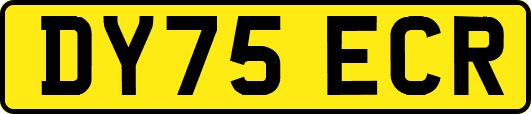 DY75ECR
