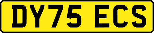DY75ECS