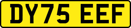 DY75EEF