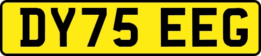 DY75EEG