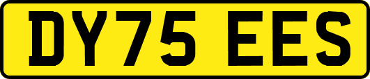 DY75EES