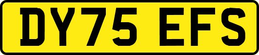 DY75EFS