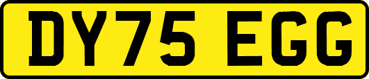 DY75EGG