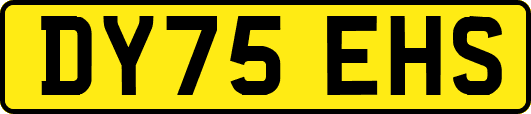 DY75EHS