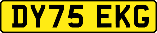 DY75EKG