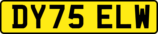 DY75ELW