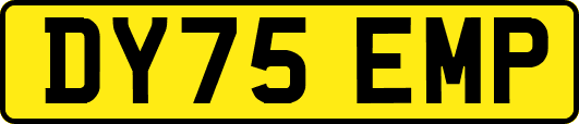 DY75EMP