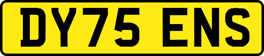 DY75ENS